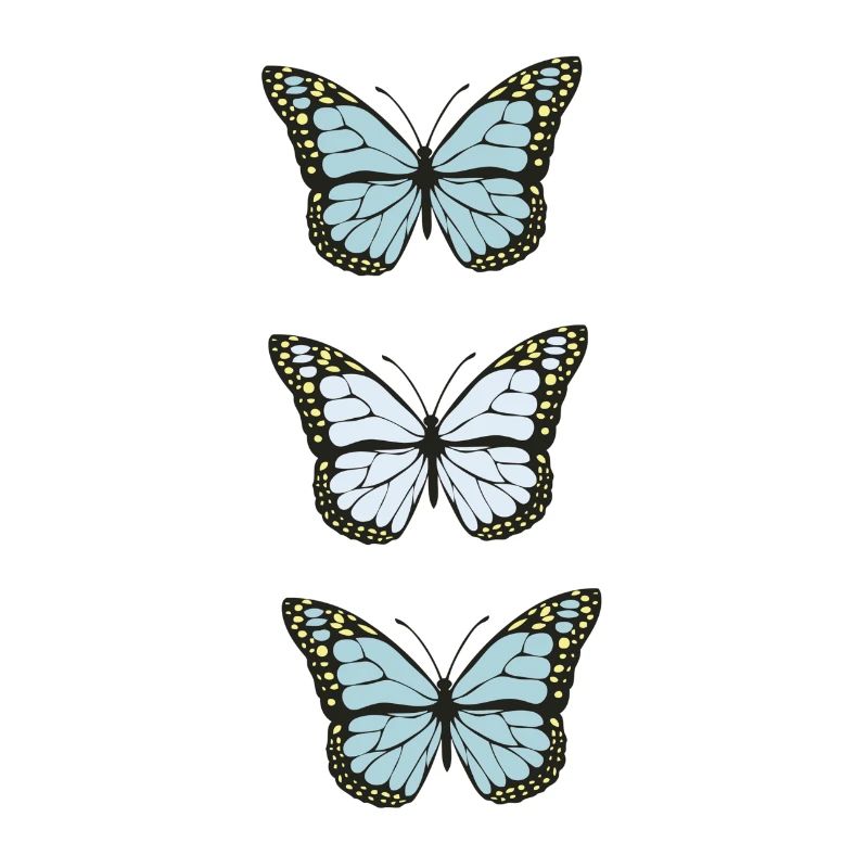 Collection de papillons