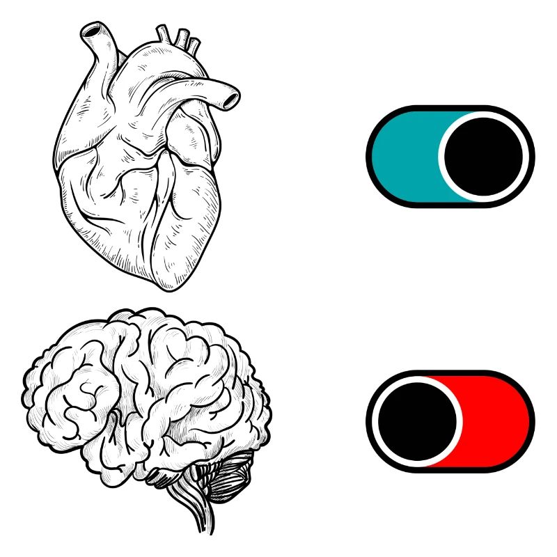 Duo Mezzaluna Notturna