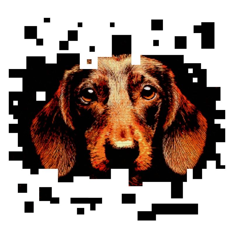 Dachshund Wirehaired Pixelart