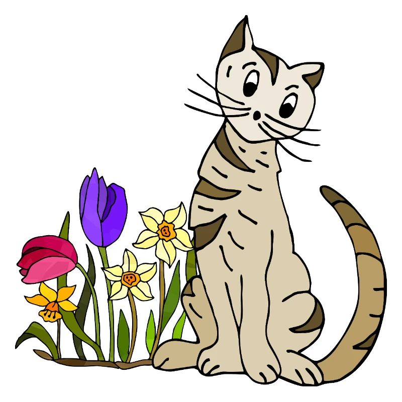 chat