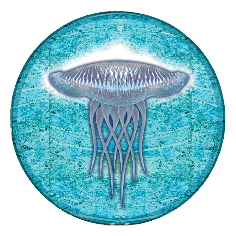 Illustration de méduses sous-marines