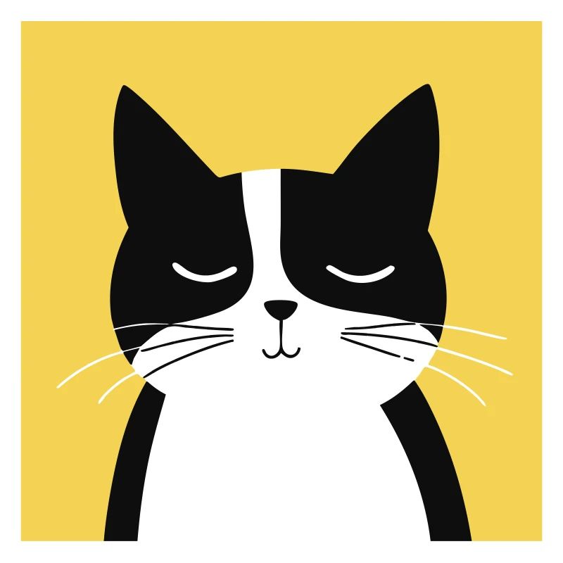 Chat noir et blanc minimaliste