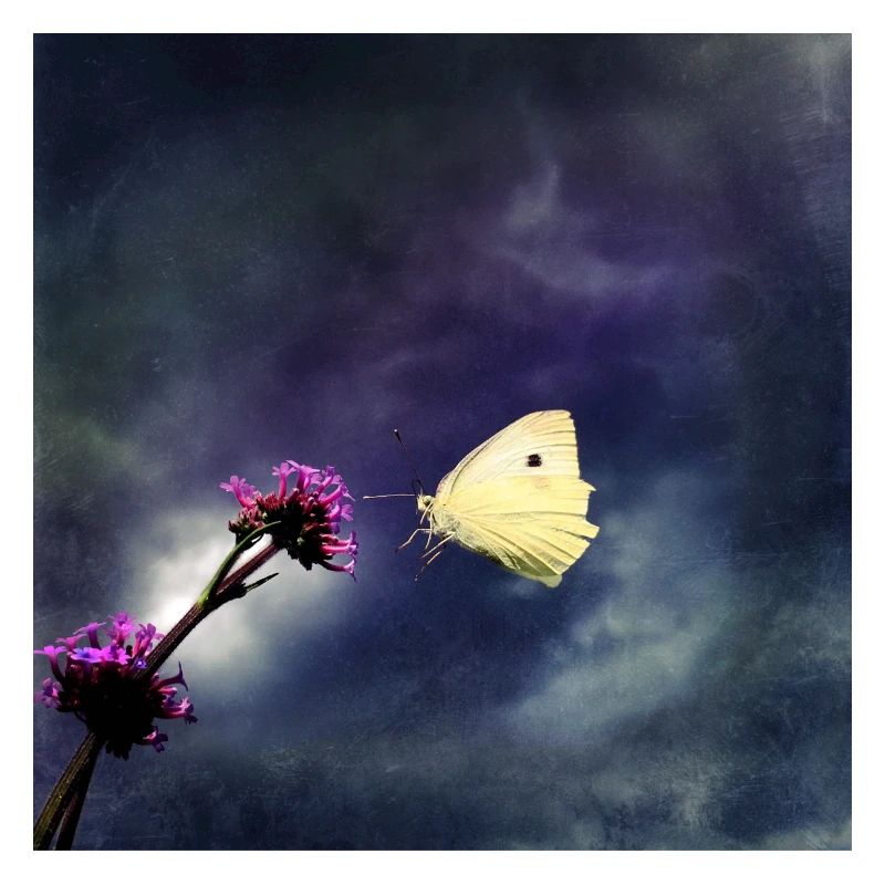 Approche en mode orage