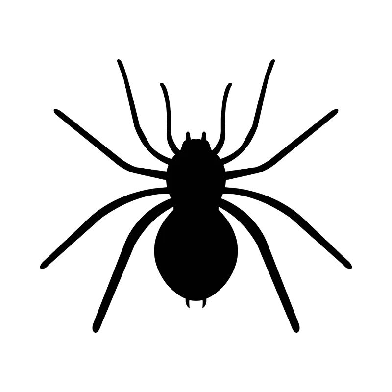 Spinne