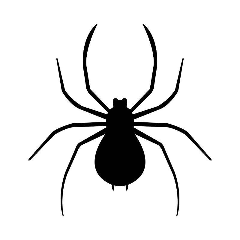 spider