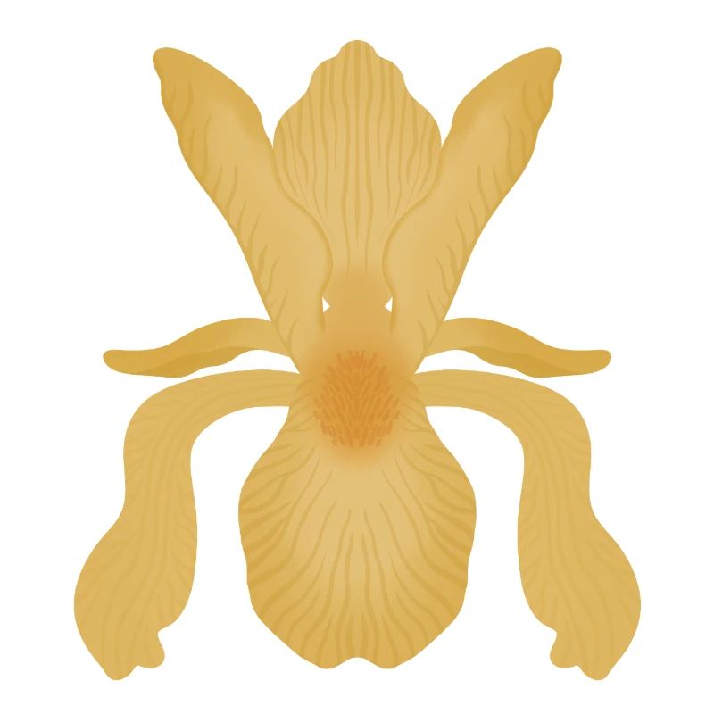 Goldene Irisblüte