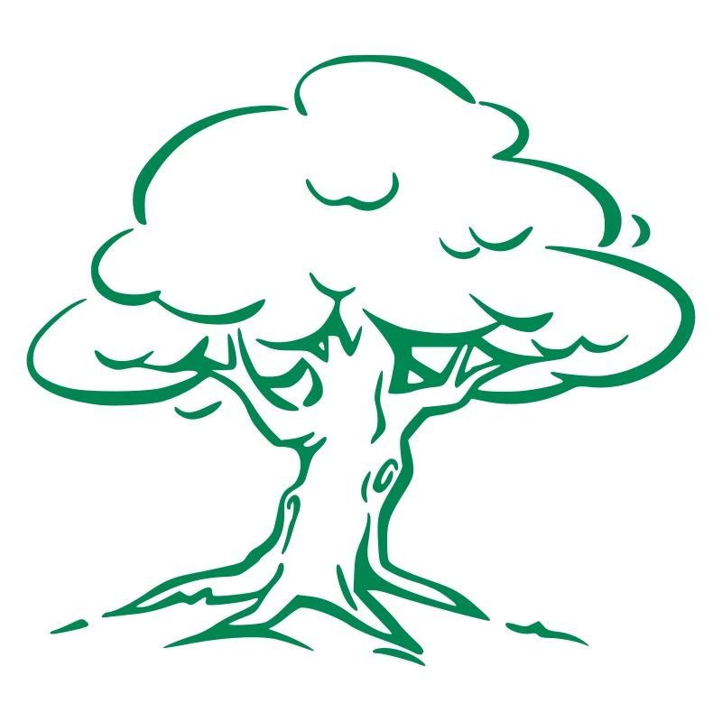 Tree Forest Nature