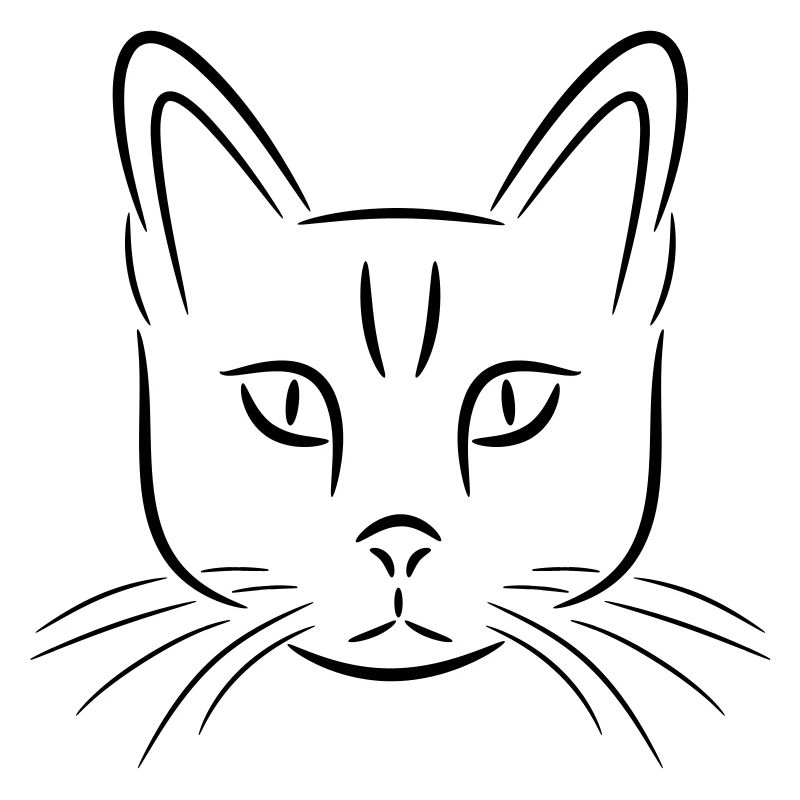 Katze