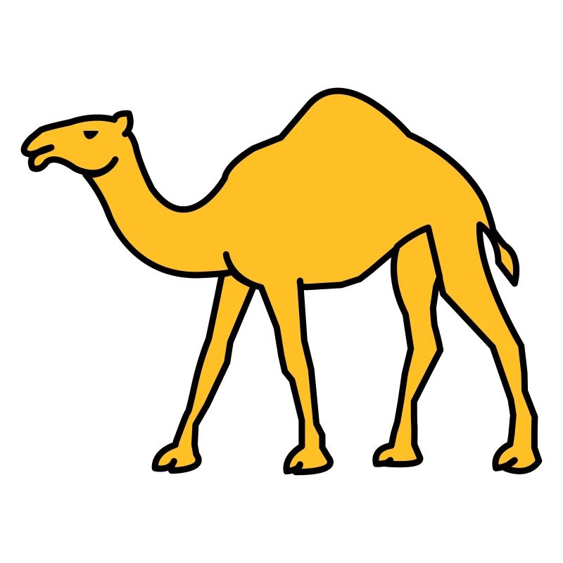 kamel_02