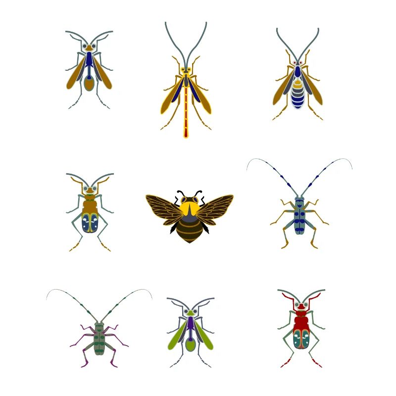 insects mosquitoes bee sting overview fly bug