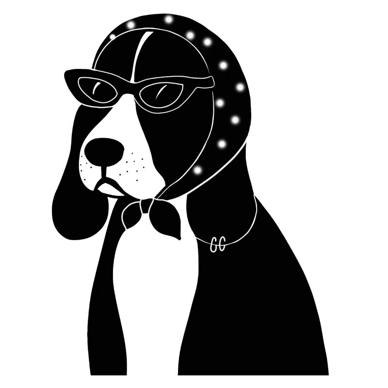 Beagle avec style