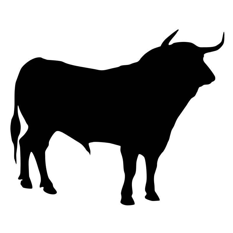toro 2