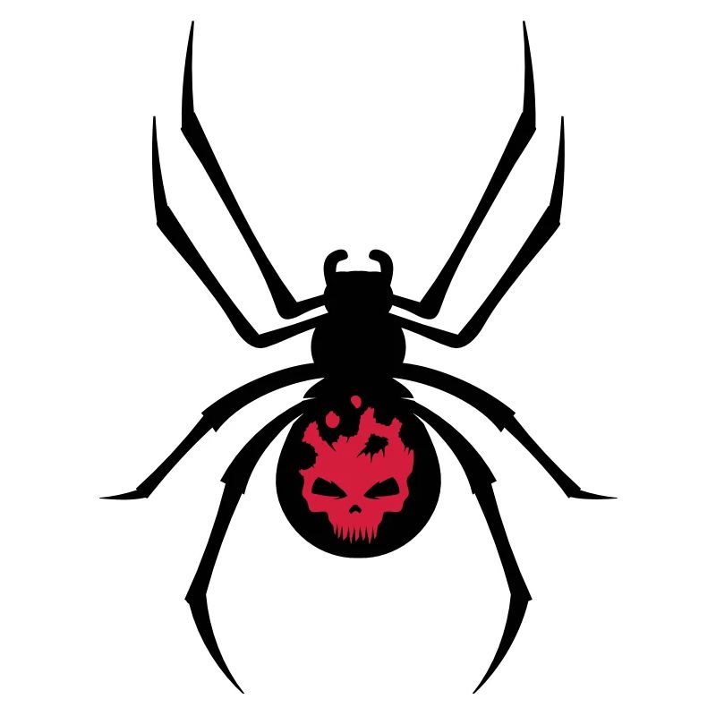 Schwarze Spinne mit Skull Muster