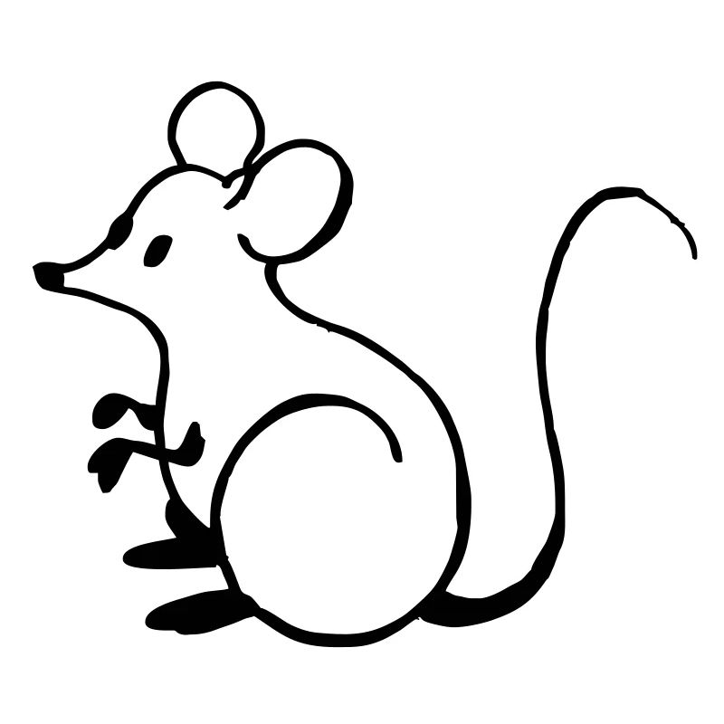 Souris
