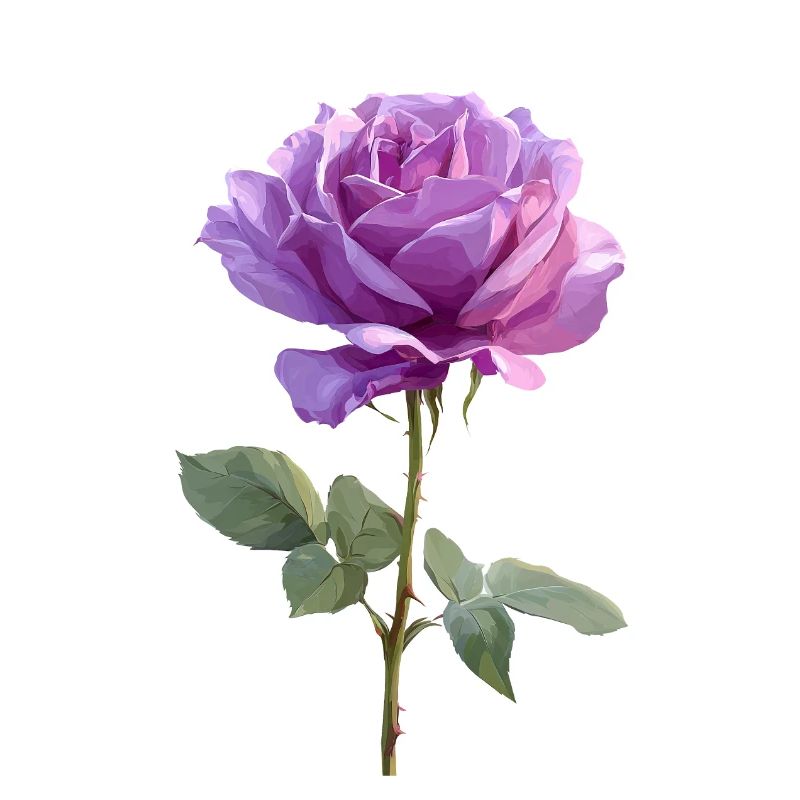 Violette Lila Rose