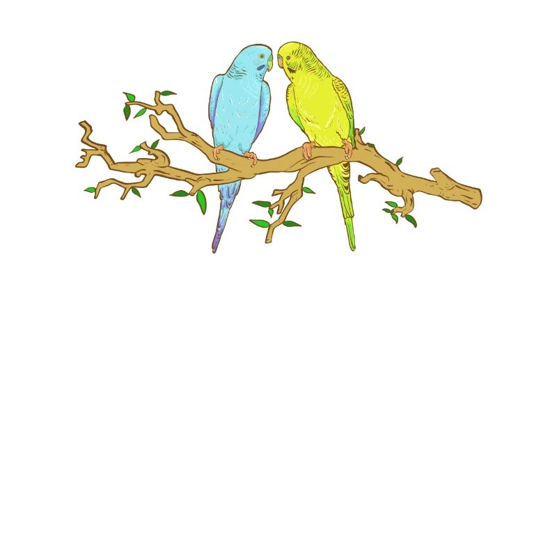 2 perruches assis sur une branche