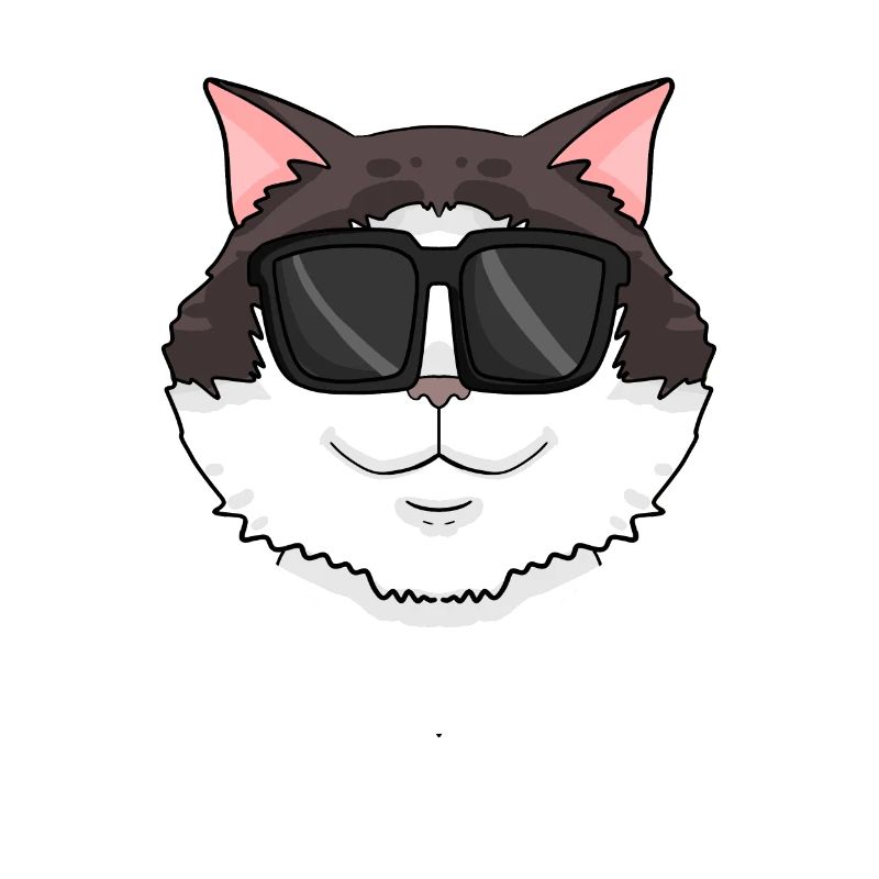 Ragdoll Cat