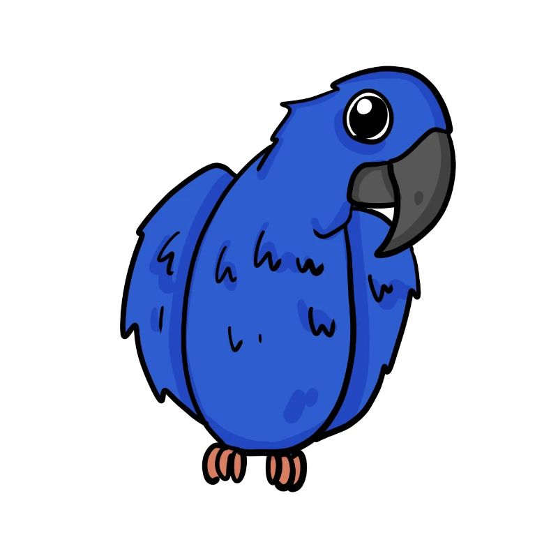 Oiseau perroquet d’ara jacinthe