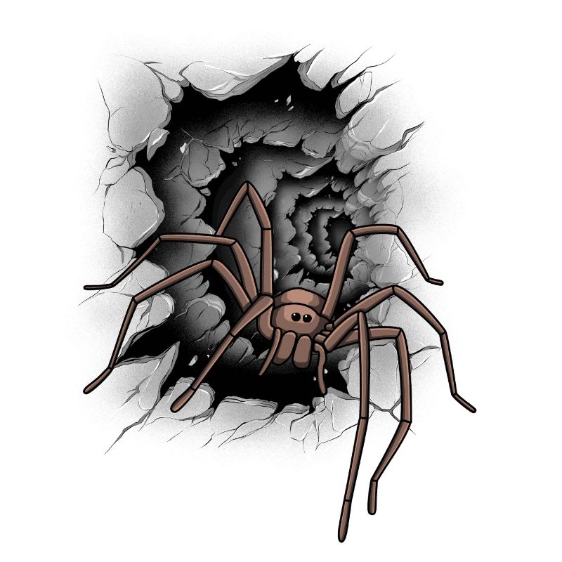 Araignée Halloween Araignées