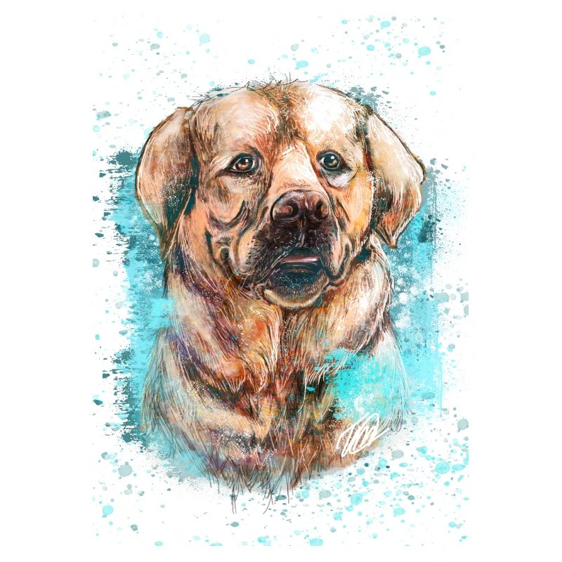 Labrador Hund.