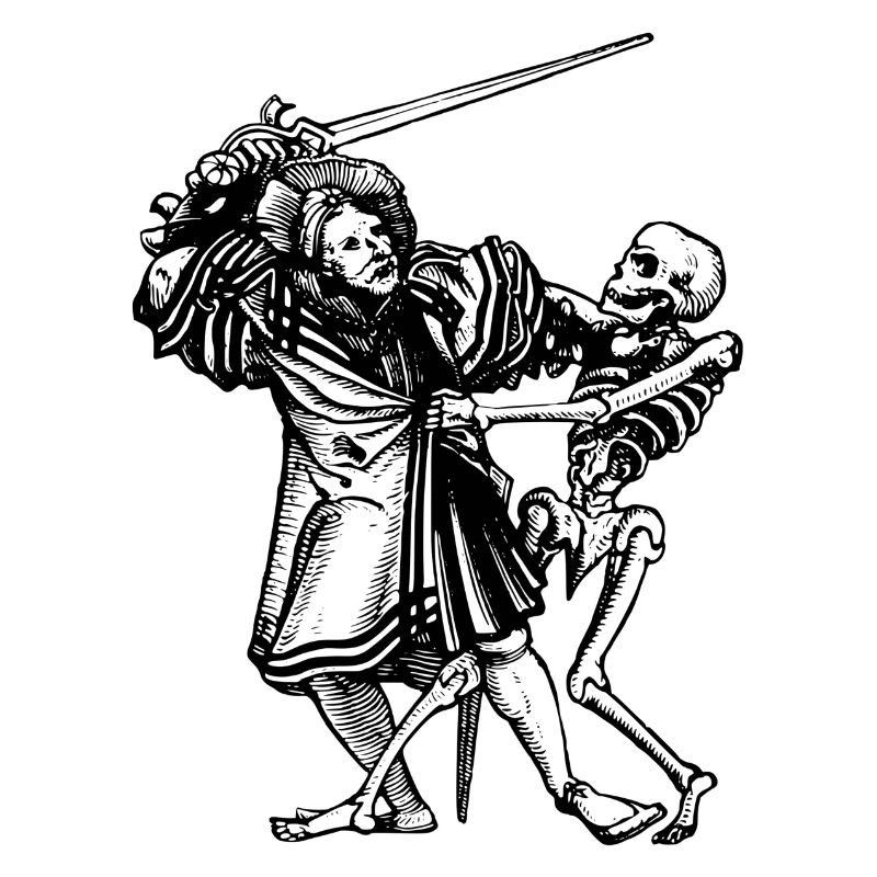 skeleton skeleton bones bones skull schaedel49