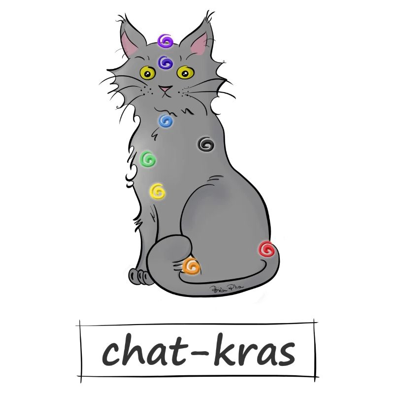 Chat-kras