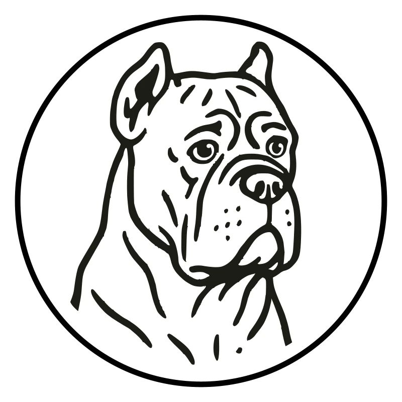 Cane Corso