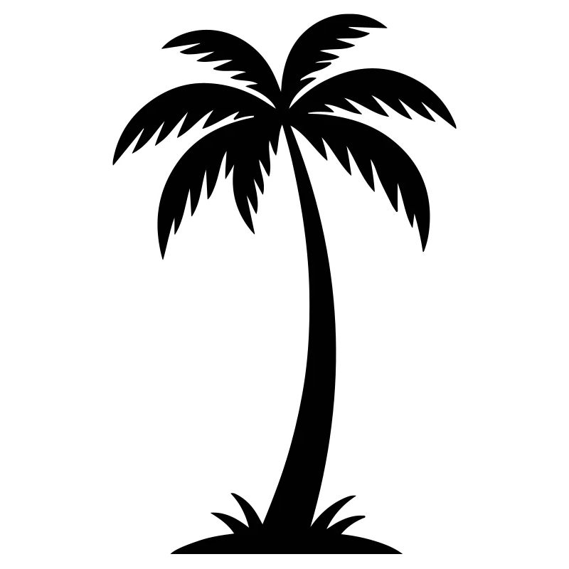Palm Tree Silhouette