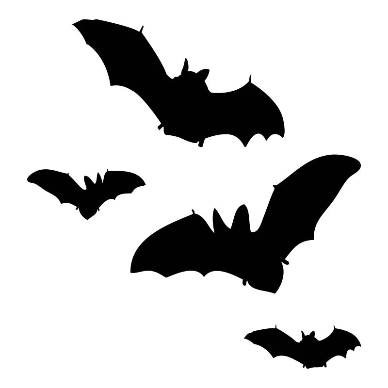 fledermaus1