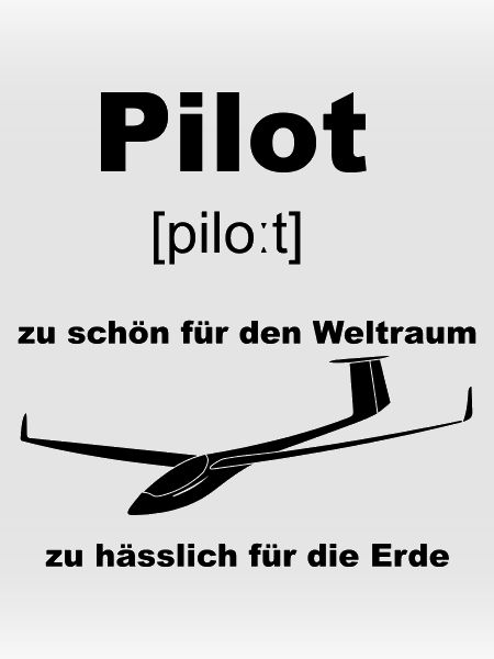 pilot