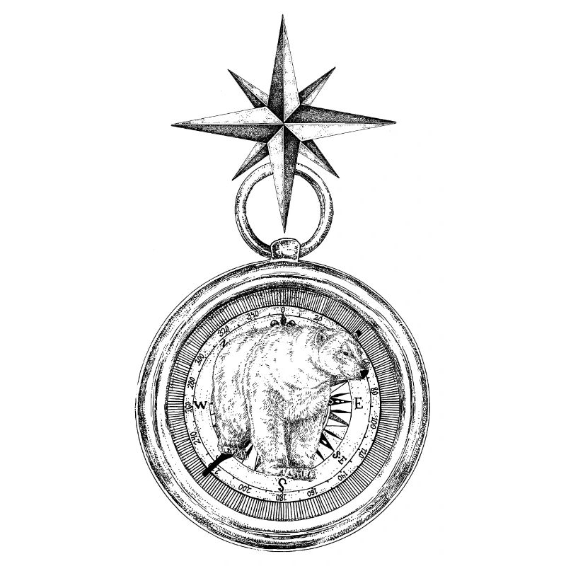 ARCTIC COMPASS
