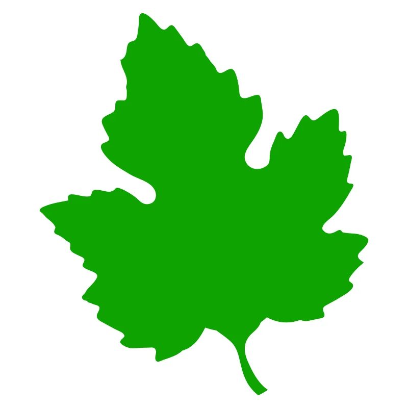 leaf