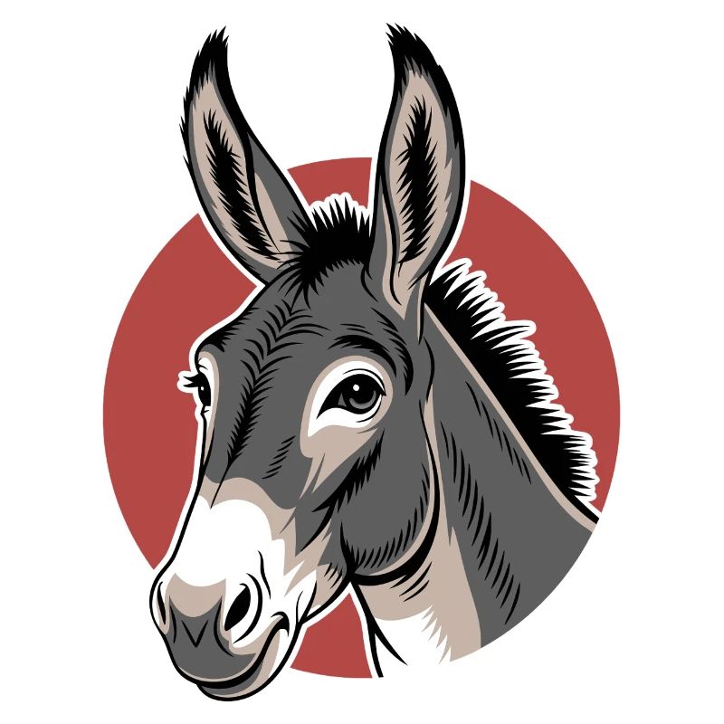 Âne Mule Cheval Ferme Élevage Fermier Mignon