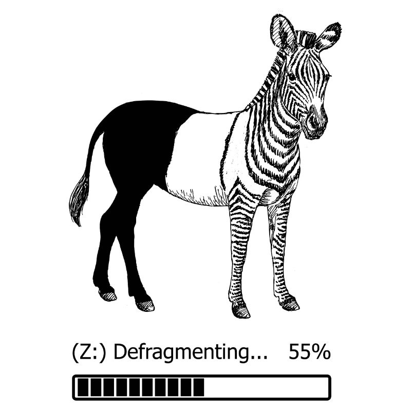 Defragmentiertes Zebra