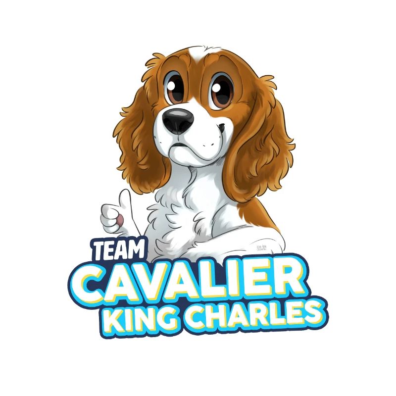 TEAM Cavalier King Charles - Blanc et Feu