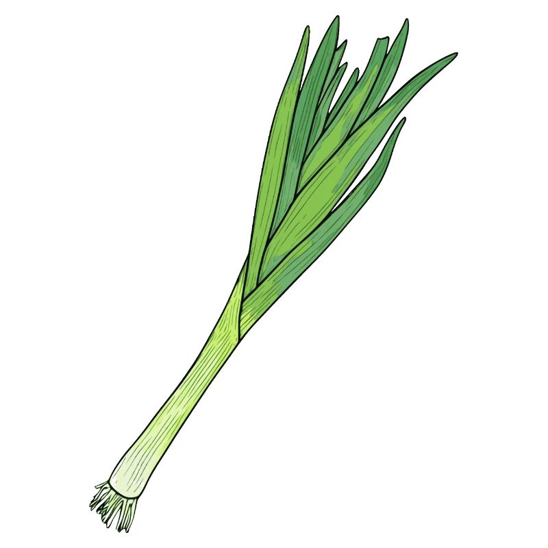 Lauch