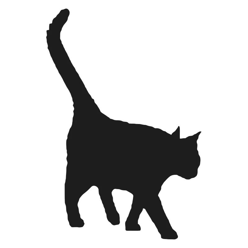 black cat