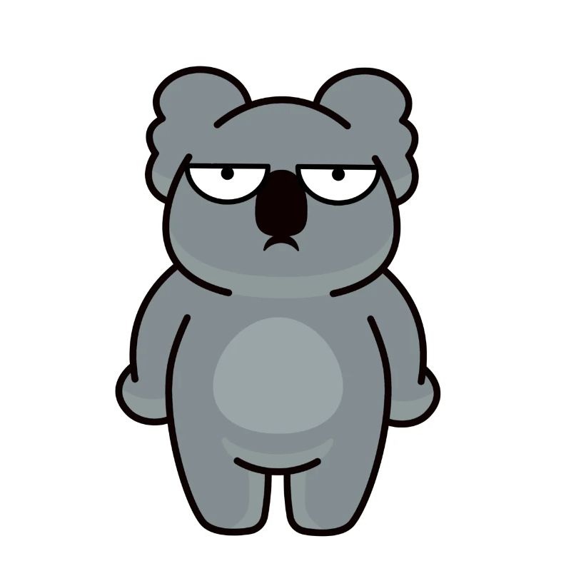 Miś koala
