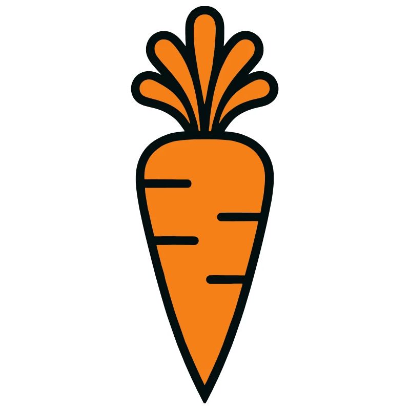 Carotte Vitaminée Design Potager Bio