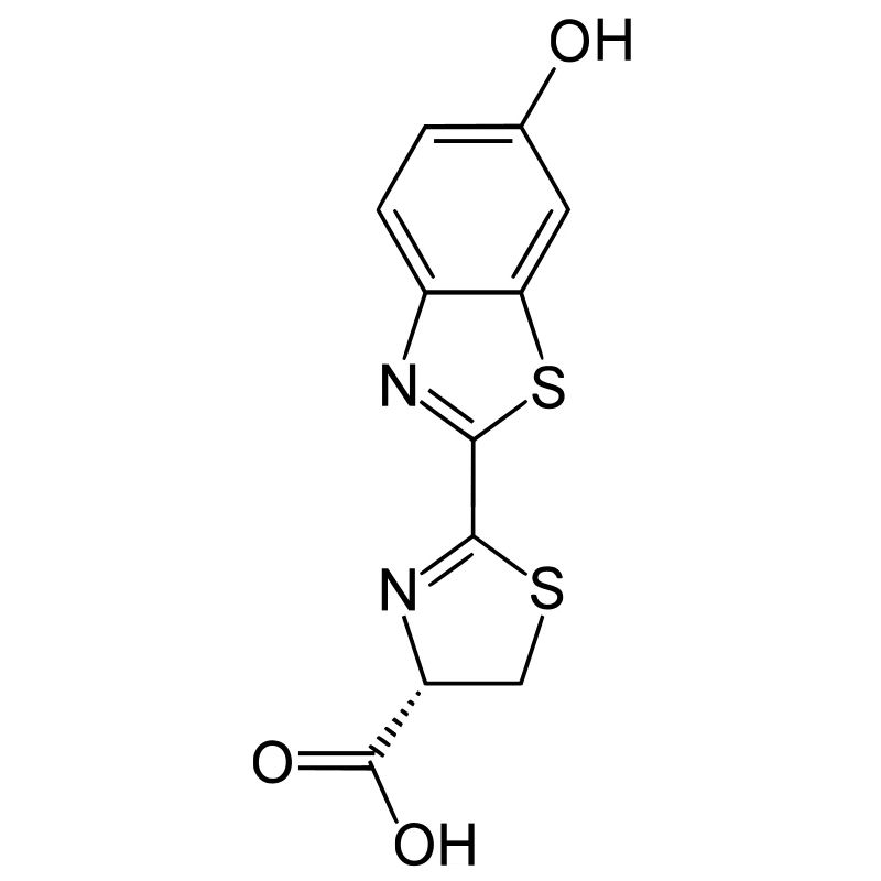 Luminous / Glow in the dark firefly luciferin