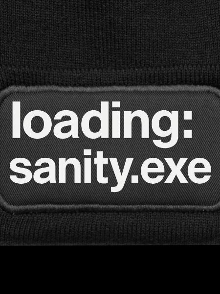 loading: sanity.exe