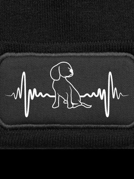 Dog puppy cardiogram