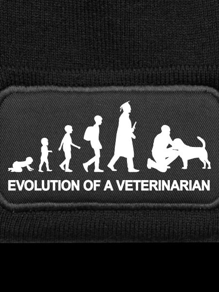 Veterinär Entwicklung