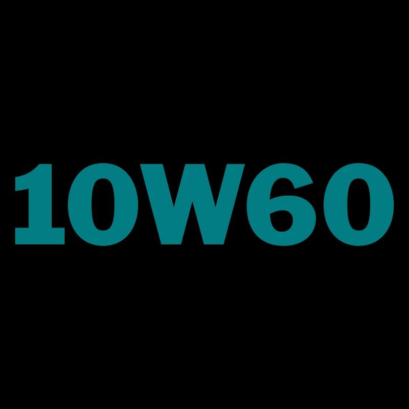 15 10w60