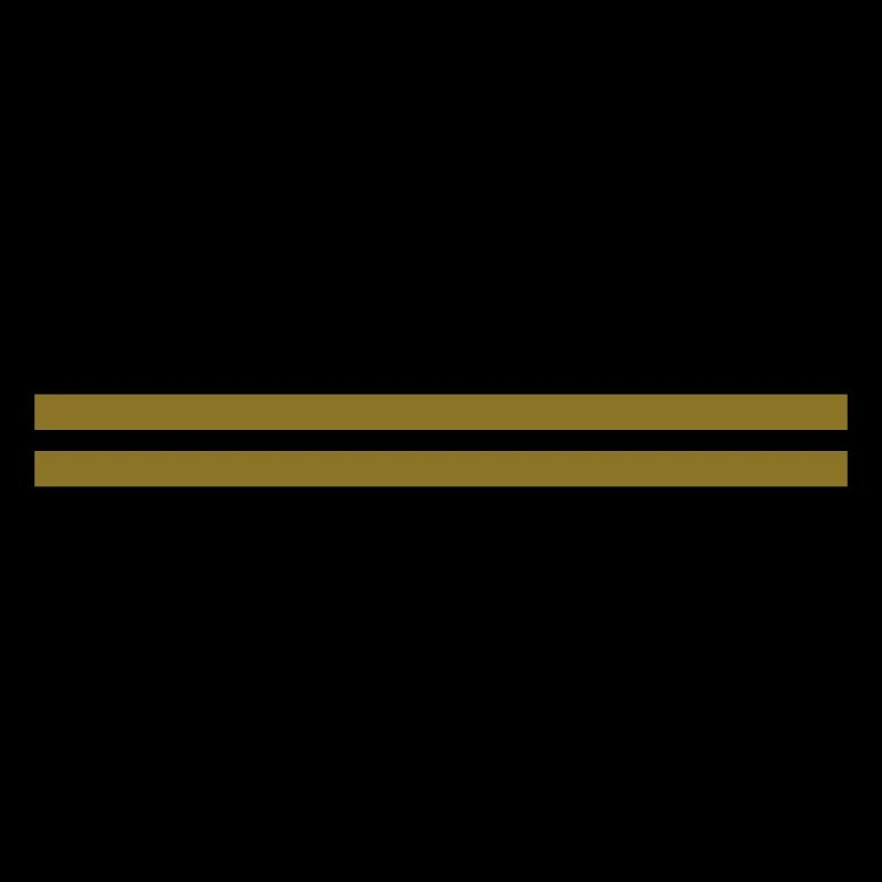 striche