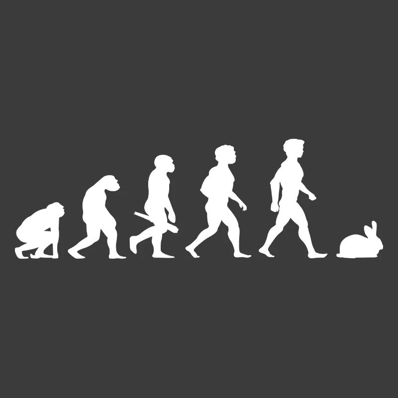 Evolution rabbit rabbits rabbit bunny rodents