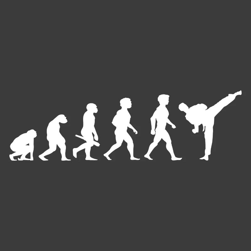 Evolution Karate Martial Arts
