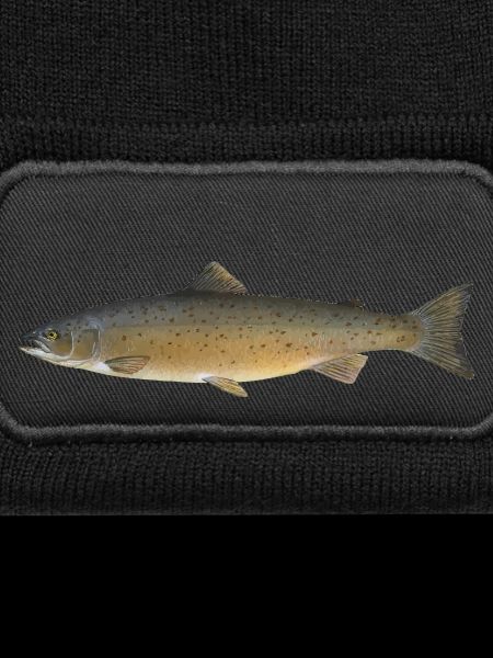 Salmon 2