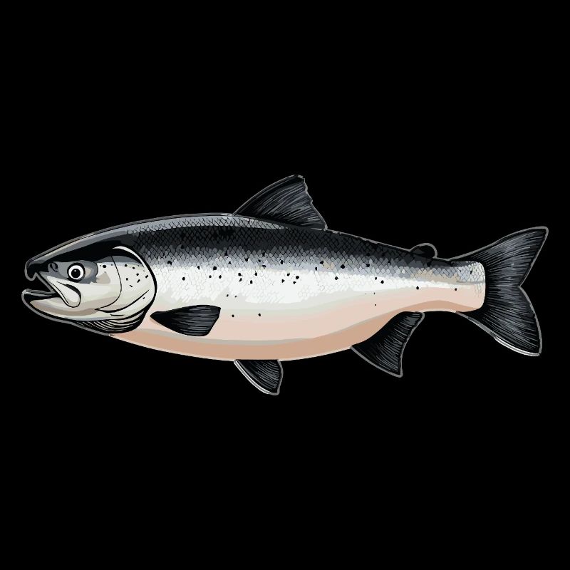 Lachse Lachs