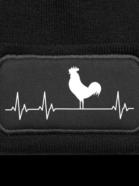 Chickens Fans - - Rooster - Chicks